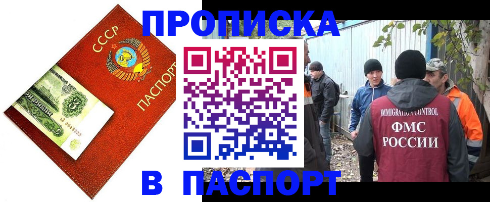 купить прописку в Дмитрове